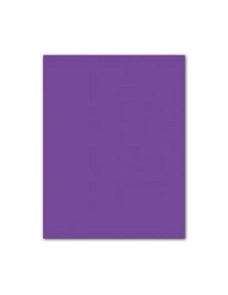 Cartulinas Iris Violeta 50 x 65 cm | Tienda24 Tienda24.eu