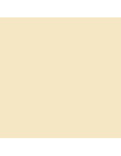 Cartoncini Iris Beige da Iris, Carta - Ref: S8410528, Precio: €17.50, Descuento: %