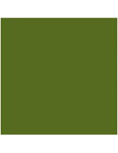 Cartoncini Iris Verde militare 50 x 65 cm da Iris, Carta - Ref: S8410543, Precio: €19.53, Descuento: %