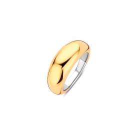 Damenring Ti Sento 12172SY/56 16 von Ti Sento, Ringe - Ref: S7250277, Preis: 80,17 €, Rabatt: %