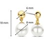 Boucles d´oreilles Femme Ti Sento 7912YP de Ti Sento, Boucles d'oreilles - Réf : S7250289, Prix : 103,06 €, Remise : %