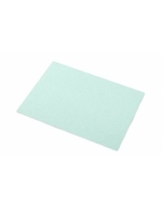 Papiers carton Sadipal Paillettes 5 feuilles Vert clair 50 x 65 cm de Sadipal, Papier - Ref: S8416554, Precio: 17,23 €, Descu...