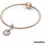 Charm da Donna Pandora FAMILY ALWAYS ENCIRCLED DANGLE di Pandora, Bead Charm - Rif: S7265042, Prezzo: 88,81 €, Sconto: %