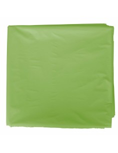 Sac Fixo Déguisement Plastique Vert clair 65 x 90 cm de Fixo, Sets & Kits - Ref: S8423147, Precio: 18,00 €, Descuento: %