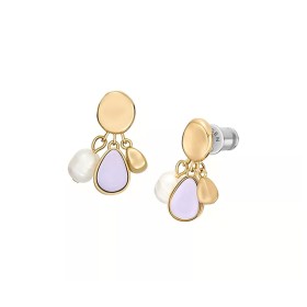 Ladies' Earrings Skagen SKJ1716710 by Skagen, Earrings - Ref: S7268506, Price: 73,13 €, Discount: %