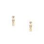 Pendientes Mujer Skagen SKJ1671998 de Skagen, Pendientes - Ref: S7268516, Precio: 66,68 €, Descuento: %