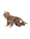 Fantasia para Bebés My Other Me Leopardo (4 Peças) | Tienda24 Tienda24.eu