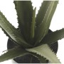 Planta Decorativa Alexandra House Living Plástico Aloe Vera 11 x 11 x 39 cm de Alexandra House Living, Plantas - Ref: D162358...