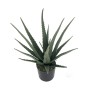 Planta Decorativa Alexandra House Living Plástico Aloe Vera 11 x 11 x 39 cm de Alexandra House Living, Plantas - Ref: D162358...