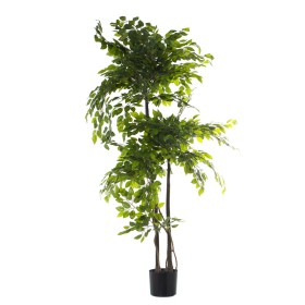 Planta Decorativa Alexandra House Living Plástico Ficus 18 x 22 x 162 cm de Alexandra House Living, Plantas - Ref: D1623600, ...