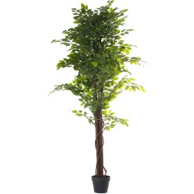 Decorative Plant DKD Home Decor Green PE (40 x 40 x 90 cm) | Tienda24 - Global Online Shop Tienda24.eu