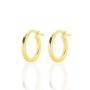 Pendientes Mujer Stroili 14010835 de Stroili, Pendientes - Ref: S7278884, Precio: 83,96 €, Descuento: %