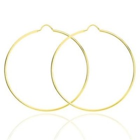 Boucles d´oreilles Femme Stroili 14010132 de Stroili, Boucles d'oreilles - Réf : S7278911, Prix : 147,96 €, Remise : %