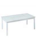 Dining Table Agnes 120 x 60 x 48,5 cm Aluminium | Tienda24 Tienda24.eu