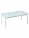 Dining Table Agnes 120 x 60 x 48,5 cm Aluminium | Tienda24 Tienda24.eu