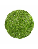 Pianta Decorativa Sfera Muschio 30 x 30 x 30 cm da BigBuy Garden, Piante artificiali - Ref: S8700522, Precio: €21.73, Descuen...