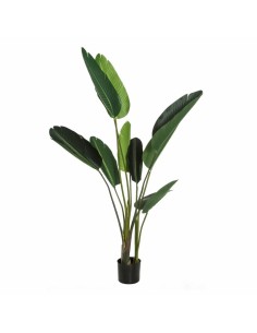 Plante décorative DKD Home Decor Pompons (45 x 45 x 150 cm) | Tienda24 Tienda24.eu