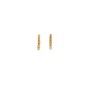 Boucles d´oreilles Femme AN Jewels AB.EP053 de AN Jewels, Boucles d'oreilles - Réf : S7282953, Prix : 67,01 €, Remise : %