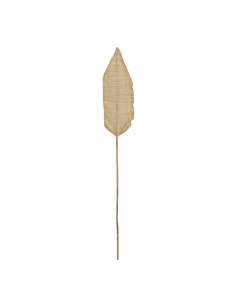 Dekorationspflanze Palme Kunststoff 36 x 55,5 x 24 cm (6 Stück) | Tienda24 Tienda24.eu