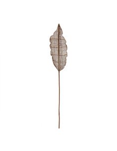 Plante décorative Everlands Herbe de la pampa (Ø 9 x 90 cm) | Tienda24 Tienda24.eu