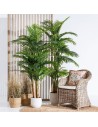 Pianta Decorativa Polietilene Areca 189 cm da BigBuy Home, Piante artificiali - Ref: S8800699, Precio: €146.45, Descuento: %