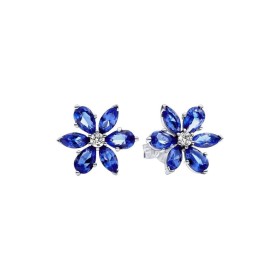 Ladies' Earrings Pandora 292407C01 by Pandora, Earrings - Ref: S7286018, Price: 89,29 €, Discount: %