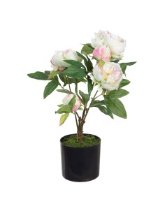 Planta Decorativa Cemento Tejido 150 cm | Tienda24 Tienda24.eu