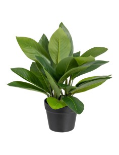 Planta Decorativa Mica Decorations PVC Geranio (11,5 x 33 cm) | Tienda24 Tienda24.eu