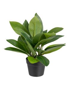 Planta Decorativa PVC Acero Cemento 122 cm 14 x 14 x 13 cm | Tienda24 Tienda24.eu