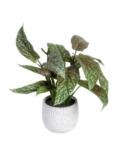 Planta Decorativa Poliéster Polietileno Ferro Melamina 9,5 x 9,5 x 29 cm | Tienda24 Tienda24.eu