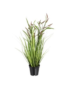 Planta Decorativa Blanco PVC (27 X 35 CM) | Tienda24 Tienda24.eu