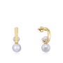 Ladies' Earrings Viceroy 14095E01012 by Viceroy, Earrings - Ref: S7289784, Price: 61,37 €, Discount: %