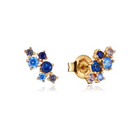 Boucles d´oreilles Femme Viceroy 13134E100-33 Argent 925 de Viceroy, Boucles d'oreilles - Réf : S7289849, Prix : 55,53 €, Rem...