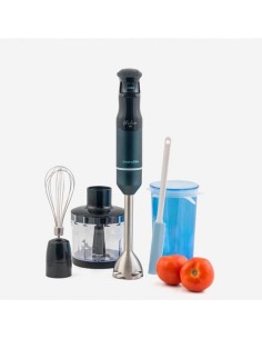 Hand-held Blender Solac BA5607 Black Steel 1000 W | Tienda24 Tienda24.eu