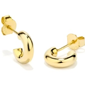 Boucles d´oreilles Femme Radiant RY000224 de Radiant, Boucles d'oreilles - Réf : S7290611, Prix : 56,01 €, Remise : %