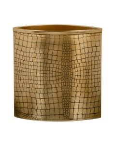 Vaso Dourado Ferro 14 x 14 x 20 cm | Tienda24 Tienda24.eu