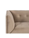 Sofa 156 x 81 x 72 cm Champagner synthetische Stoffe Holz Samt | Tienda24 Tienda24.eu