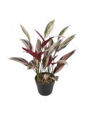 Decorative Plant 43 x 40 x 55 cm Green Bird of paradise | Tienda24 Tienda24.eu