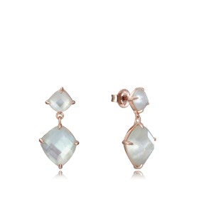 Ladies' Earrings Viceroy 15110E100-40 Sterling silver 925 by Viceroy, Earrings - Ref: S7294966, Price: 78,67 €, Discount: %