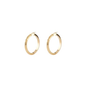 Boucles d´oreilles Femme Guess JUBE04194JWYGT-U de Guess, Boucles d'oreilles - Réf : S7296744, Prix : 71,00 €, Remise : %