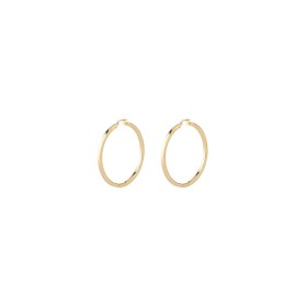 Boucles d´oreilles Femme Guess JUBE04199JWYGT-U de Guess, Boucles d'oreilles - Réf : S7296754, Prix : 76,42 €, Remise : %