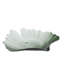 Tray Green Shell 48 cm | Tienda24 Tienda24.eu