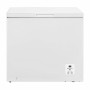 Freezer Hisense FT247D4AWYLE | Tienda24 - Global Online Shop Tienda24.eu