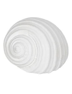 Statua Decorativa Bianco Conchiglia 11 x 9 x 8 cm da BigBuy Home, Soprammobili - Ref: S8805378, Precio: €9.04, Descuento: %