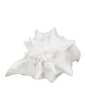 Statua Decorativa Bianco Conchiglia 21 x 19 x 13 cm da BigBuy Home, Soprammobili - Ref: S8805381, Precio: 19,34 €, Descuento: %