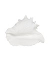 Statua Decorativa Bianco Conchiglia 21 x 19 x 13 cm da BigBuy Home, Soprammobili - Ref: S8805381, Precio: 19,34 €, Descuento: %