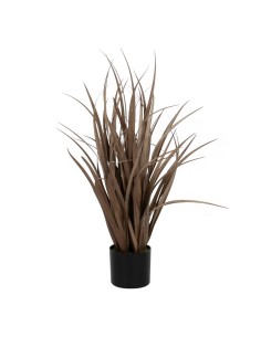 Planta Decorativa Orquídea Plástico 8 x 35 x 14 cm (12 Unidades) | Tienda24 Tienda24.eu