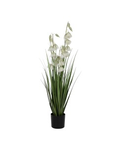 Planta Decorativa Alexandra House Living Plástico Yuca 60 cm | Tienda24 Tienda24.eu