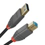 USB-Kabel LINDY 36743 Schwarz 3 m | Tienda24 - Global Online Shop Tienda24.eu