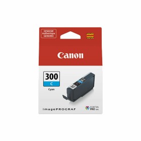 Cartucho de Tinta Original Canon 300 de Canon, Tóners y tinta de impresora - Ref: S7716911, Precio: 18,51 €, Descuento: %